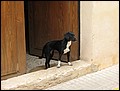 Ma-02-11-06-13-35-04-FR.jpg