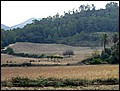 Ma-01-11-06-11-08-44-FR.jpg