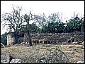Ma-01-11-06-11-39-14-FR.jpg