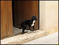 Ma-02-11-06-13-35-04-FR.jpg