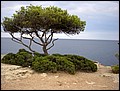 Ma-02-11-06-16-59-48-RH.jpg
