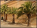 Ma-04-11-06-10-59-26-FR.jpg