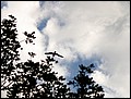 Ma-04-11-06-12-17-36-FR.jpg