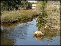 Ma-30-10-06-10-33-36-FR.jpg