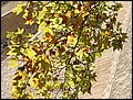 Ma-30-10-06-14-08-10-FR.jpg