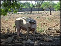Ma-31-10-06-15-20-16-FR.jpg