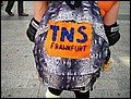 skatereise-paris-2006-242.jpg