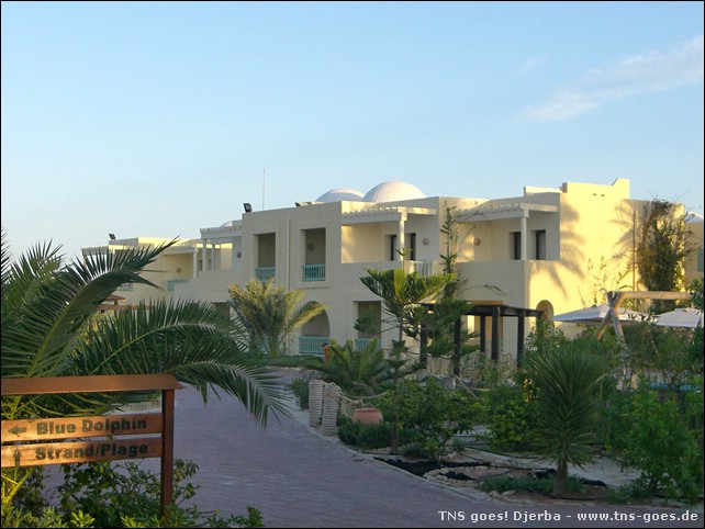 tns-goes-djerba-60.jpg