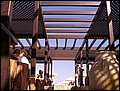 tns-goes-djerba-42.jpg
