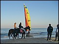 tns-goes-djerba-55.jpg