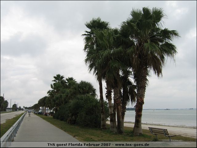 florida-070203-175438.jpg
