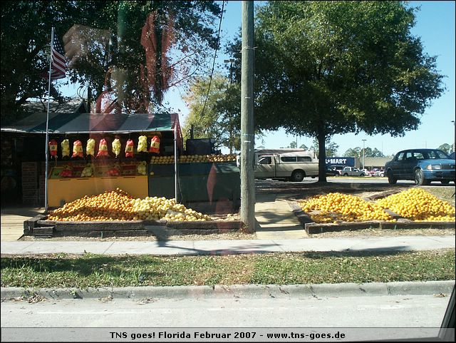 florida-070206-122654.jpg