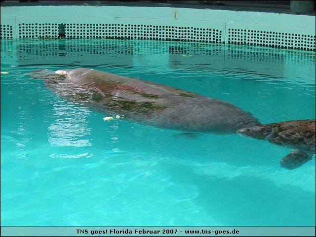 florida-070207-192432.jpg