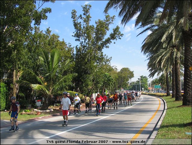 florida-070210-174144.jpg