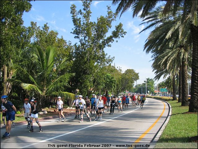 florida-070210-174152.jpg