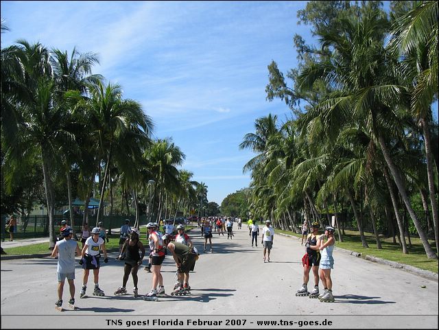 florida-070210-194536.jpg
