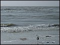 florida-070202-173232.jpg