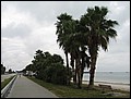 florida-070203-175438.jpg