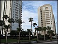 florida-070204-091456.jpg