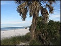 florida-070204-092002.jpg