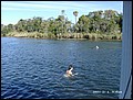 florida-070206-094504.jpg