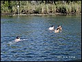 florida-070206-094700.jpg
