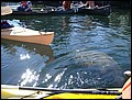 florida-070206-103340.jpg