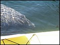 florida-070206-103354.jpg