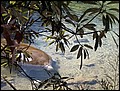 florida-070206-125726.jpg