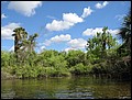florida-070207-115300.jpg