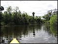 florida-070207-120102.jpg