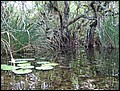 florida-070207-121406.jpg