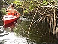 florida-070207-122636.jpg