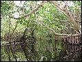 florida-070207-122842.jpg