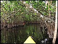 florida-070207-123154.jpg