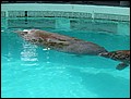 florida-070207-192432.jpg