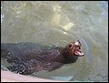 florida-070207-195048.jpg