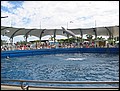 florida-070207-200640.jpg