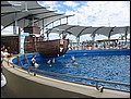 florida-070207-200704.jpg