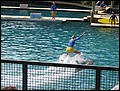 florida-070207-203814.jpg