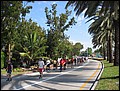 florida-070210-174144.jpg