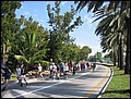 florida-070210-174152.jpg