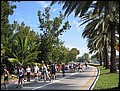 florida-070210-174200.jpg