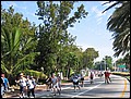 florida-070210-174220.jpg