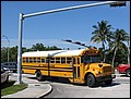 florida-070210-202832.jpg