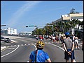 florida-070210-203800.jpg