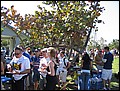 florida-070210-213916.jpg