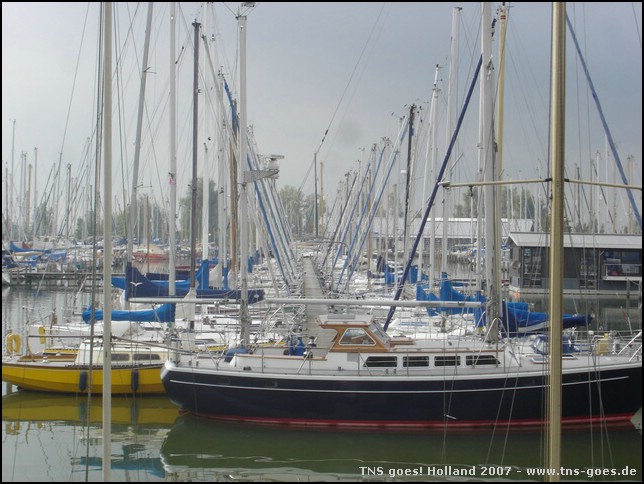 Holland-070922-113140-RH.jpg