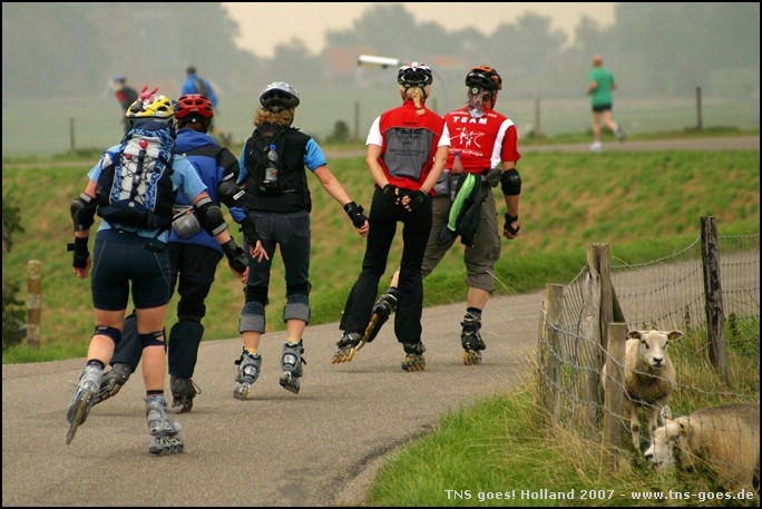 Holland-070922-120126-FR.jpg
