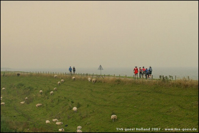 Holland-070922-121142-FR.jpg